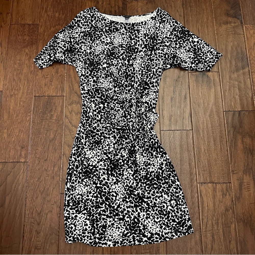 Ann taylor dress